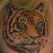 Tattoos - Tiger replication face color leg tattoo - 56739